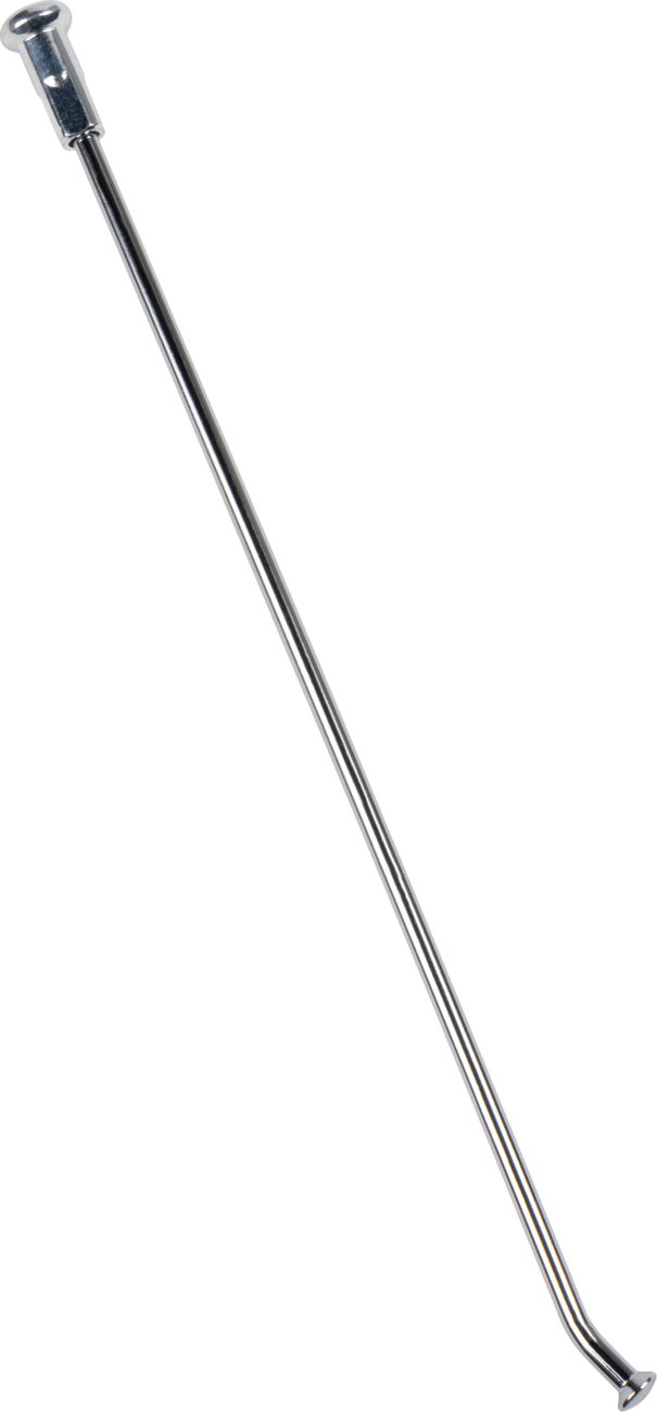 02110081_0.png