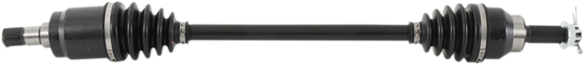 02141799_1.png
