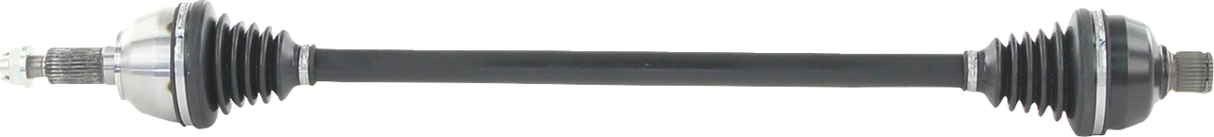02142861_0.png