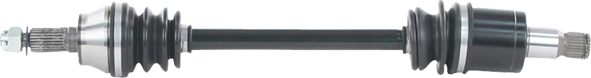 02142869_0.png