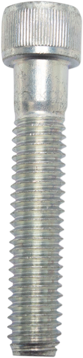 10031733_0.png