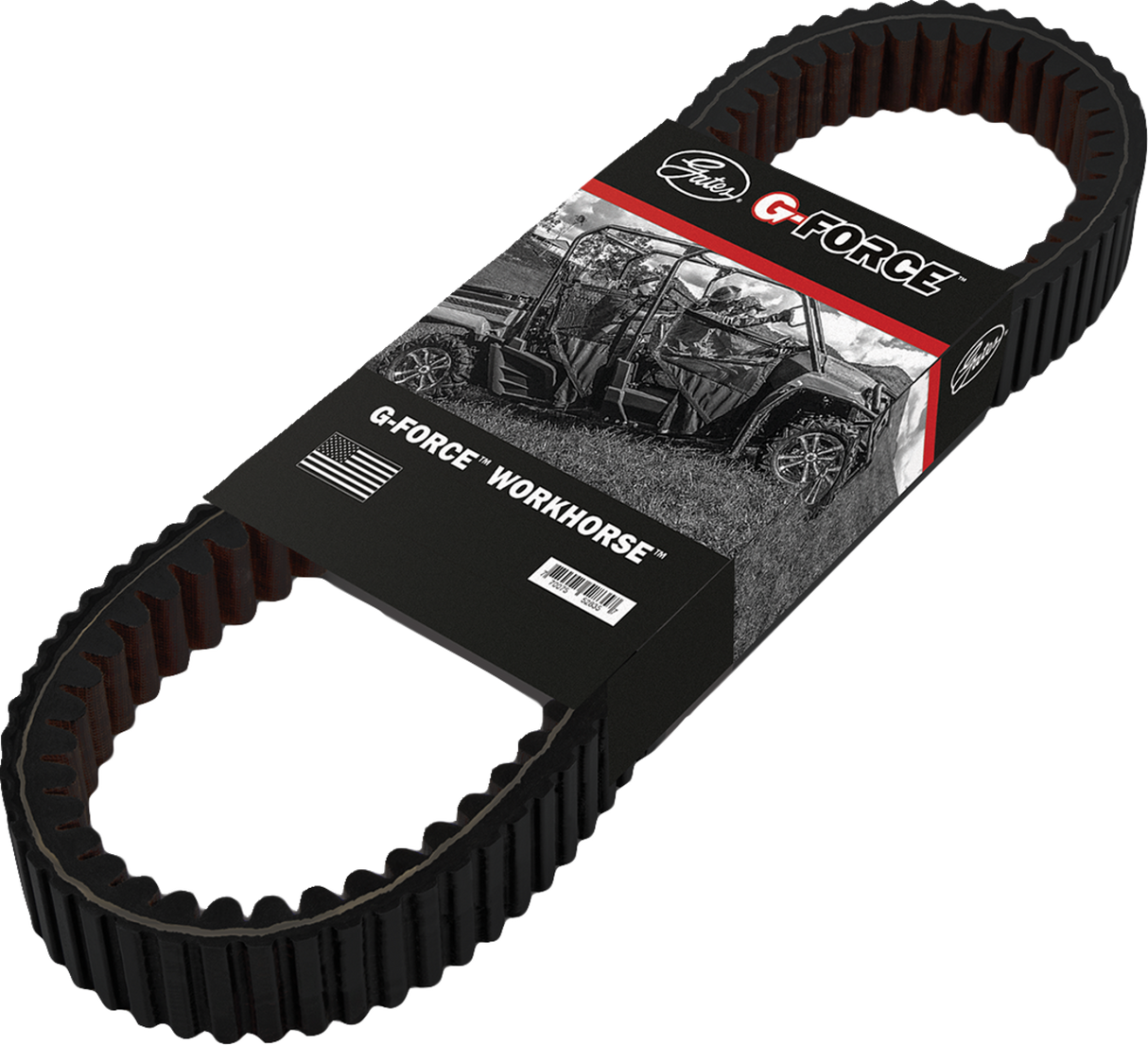 11421060_1.png