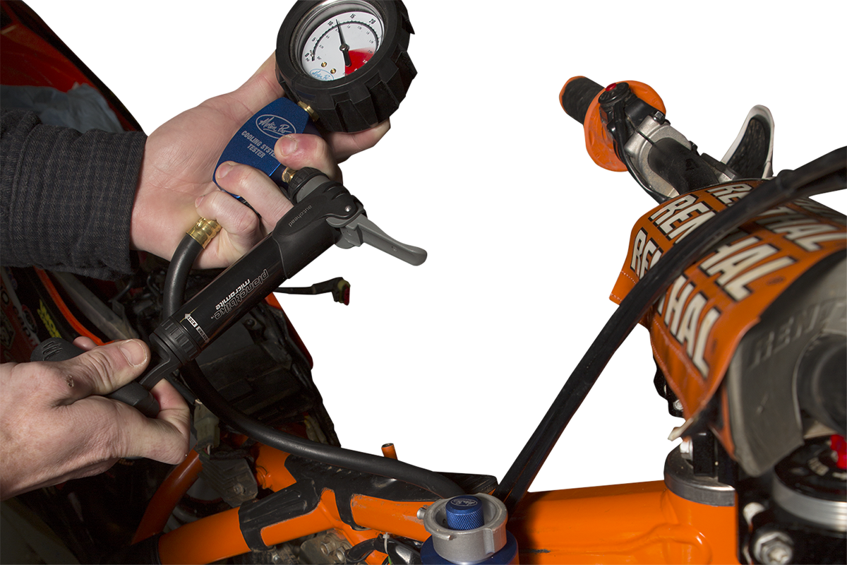 38500556_9.png