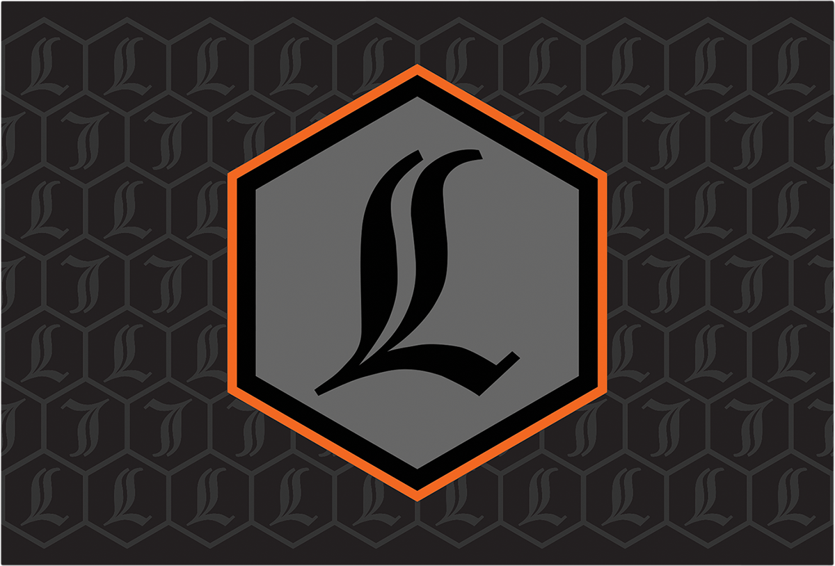43202401_0.png