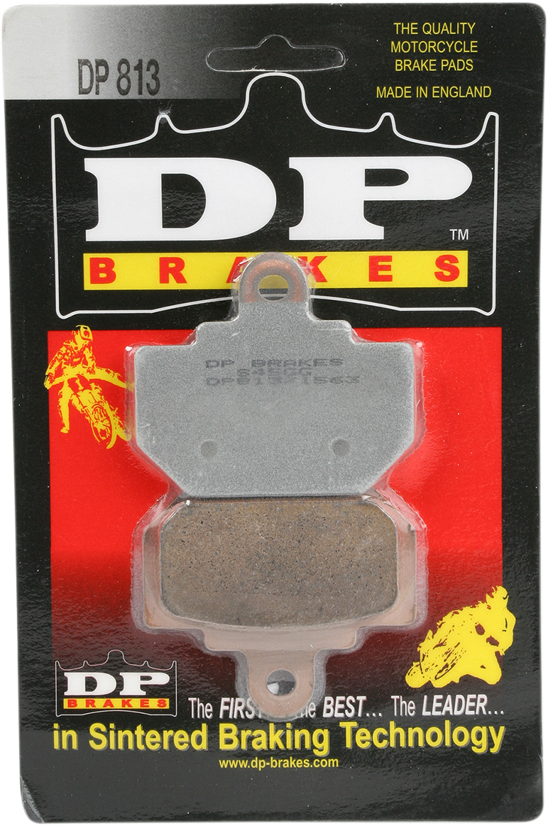 DP813_1.png