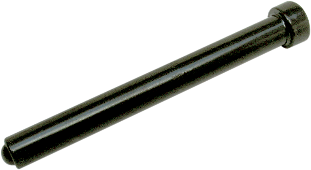 P562_0.png