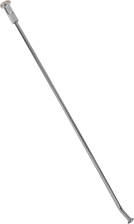 02110091_1.png