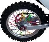 02110167_1.png