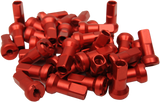 02110199_0.png