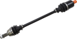 02140894_0.png