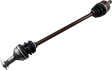 02140979_0.png