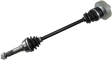 02141135_0.png