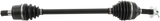 02141386_0.png