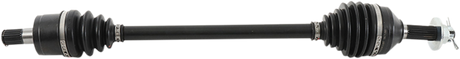 02141386_0.png