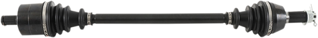 02141389_0.png