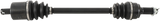 02141393_0.png