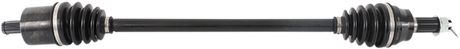 02141397_0.png