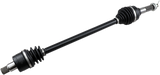 02141527_0.png