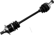 02141568_0.png