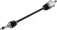 02141586_0.png