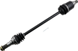 02141647_0.png
