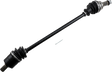 02141679_0.png