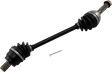 02141682_0.png