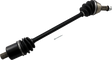 02141685_0.png