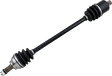 02141689_0.png