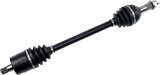 02141797_0.png