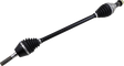 02141847_0.png