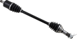 02141861_0.png