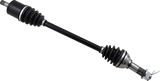 02141861_0.png