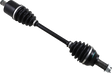 02141866_0.png