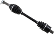 02141868_0.png