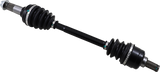02141875_0.png