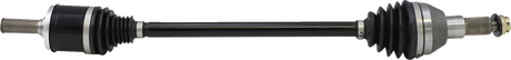 02141954_0.png