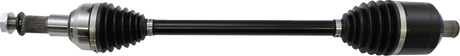 02141955_0.png