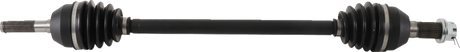 02142062_0.png