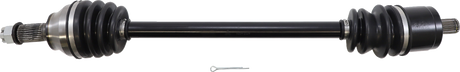 02142129_0.png