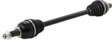 02142193_1.png