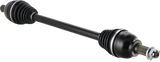 02142193_2.png
