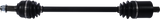 02142194_0.png