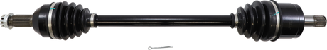 02142197_0.png