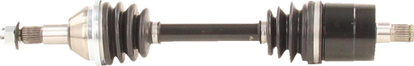 02142687_0.png