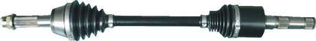 02142691_0.png