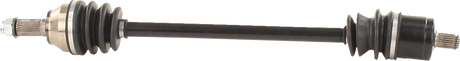 02142698_0.png
