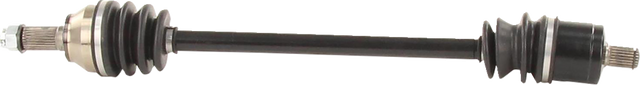 02142698_0.png
