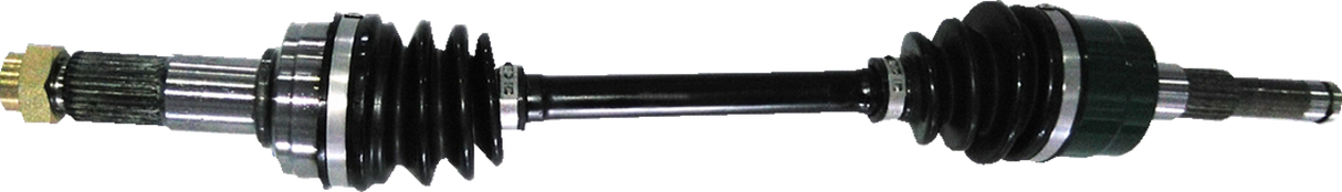 02142699_0.png