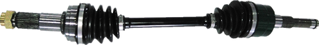 02142699_0.png
